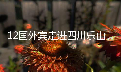 12國(guó)外賓走進(jìn)四川樂(lè)山 共話友誼和發(fā)展