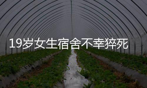 19歲女生宿舍不幸猝死，舍友誤以為睡懶覺——校園安全警鐘長鳴