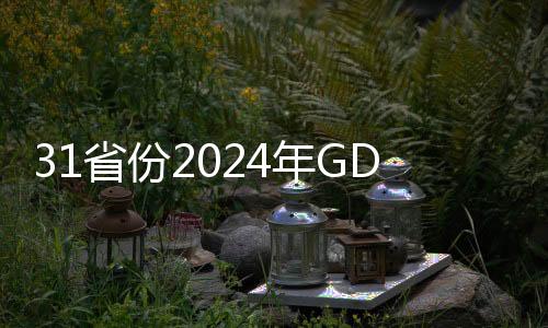 31省份2024年GDP出爐，經(jīng)濟發(fā)展動態(tài)與區(qū)域差異解析