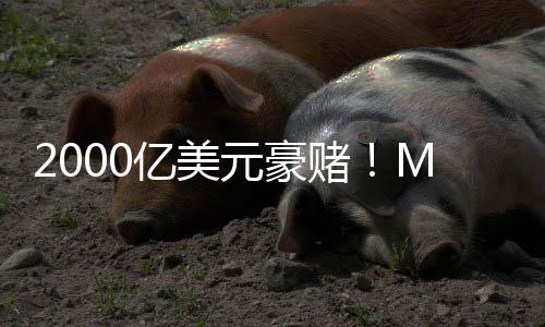 2000億美元豪賭！Meta正在商討建設(shè)人工智能數(shù)據(jù)中心
