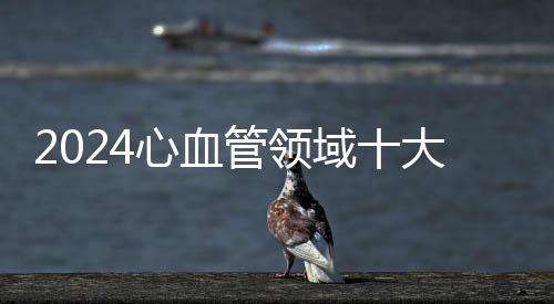 2024心血管領(lǐng)域十大國人研究揭曉 以嶺芪藶強心循證研究入圍