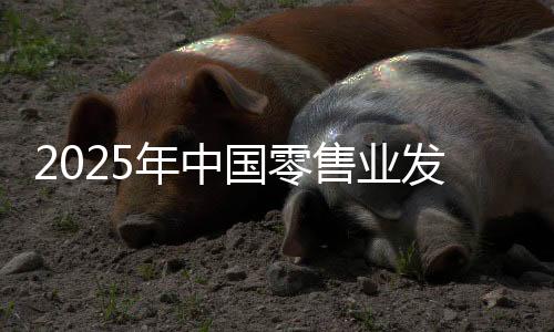 2025年中國(guó)零售業(yè)發(fā)展趨勢(shì)展望：銀發(fā)經(jīng)濟(jì)、體驗(yàn)經(jīng)濟(jì)將成價(jià)值創(chuàng)造點(diǎn)