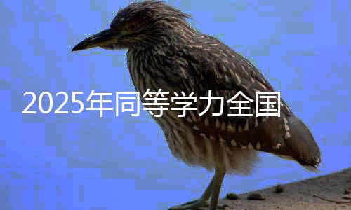 2025年同等學力全國統(tǒng)考安排出爐，全新考試模式引領教育公平新篇章