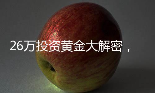 26萬(wàn)投資黃金大解密，購(gòu)買一公斤金條的思考與策略